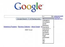 googledropdown.jpg