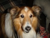 Picture 1009.jpg