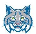 bobcat.jpg