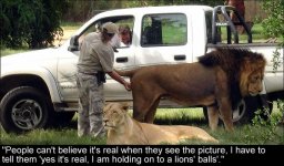 Lion-682_735241a.jpg