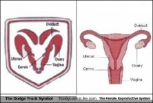 dodge-symbol-female-reproductive-system.jpeg