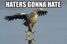 haters.jpg