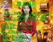 NeoImage_副1558585_副125458525_副本.jpg NeoImage_副1558585_副125458525_副本.jpg