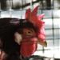 thatcher
