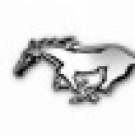 fastpony