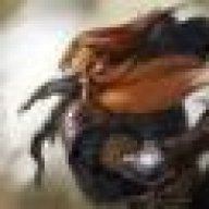 LegionerStudio