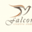 Falcon_Studio