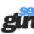 searchgurus