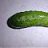 thunderpickle