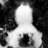 riverdog78