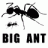 Big Ant